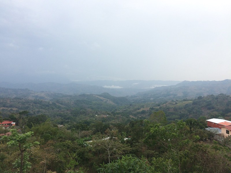 State of the Forests in Costa Rica