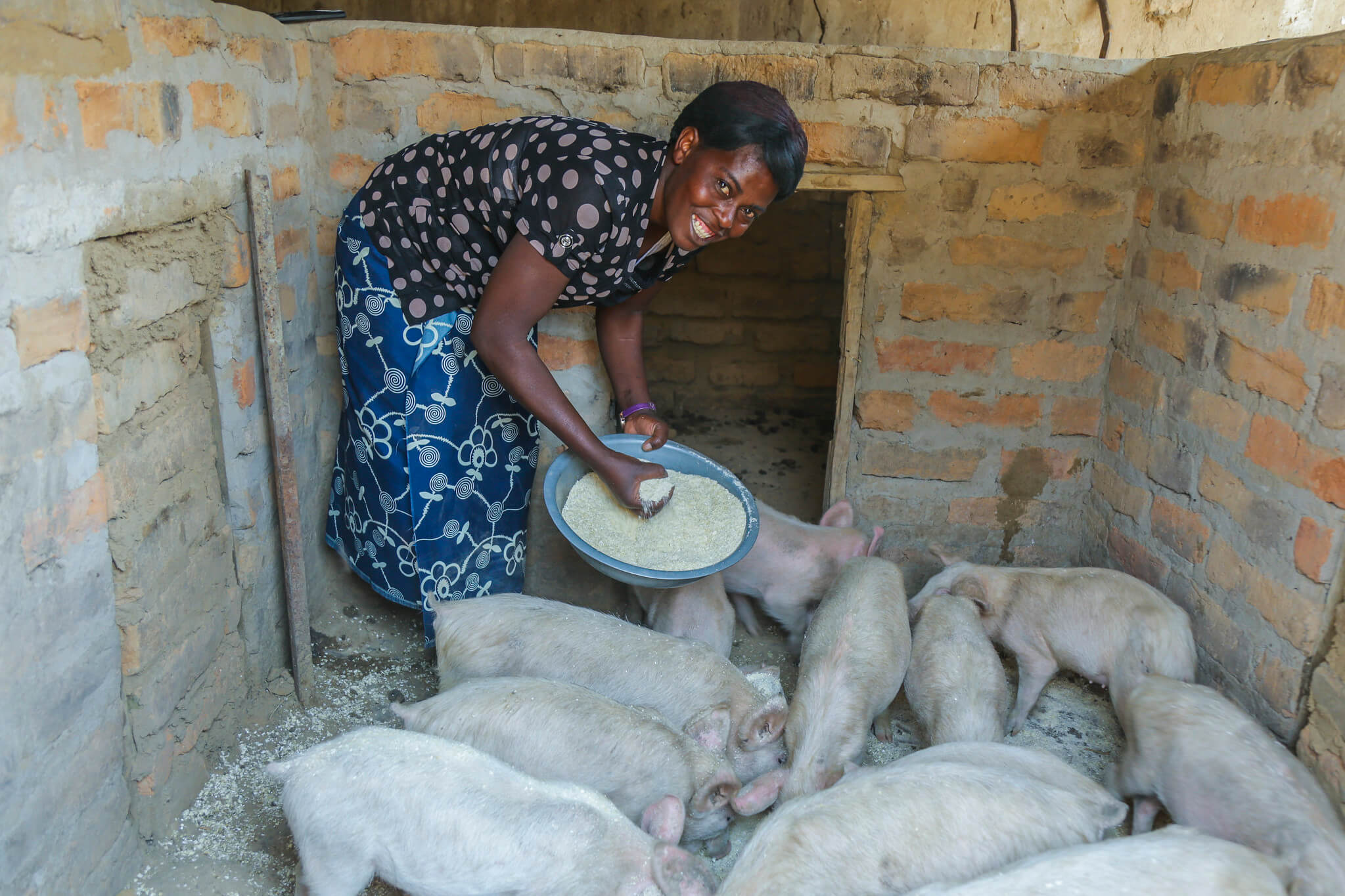Juliette feeding the piglets.