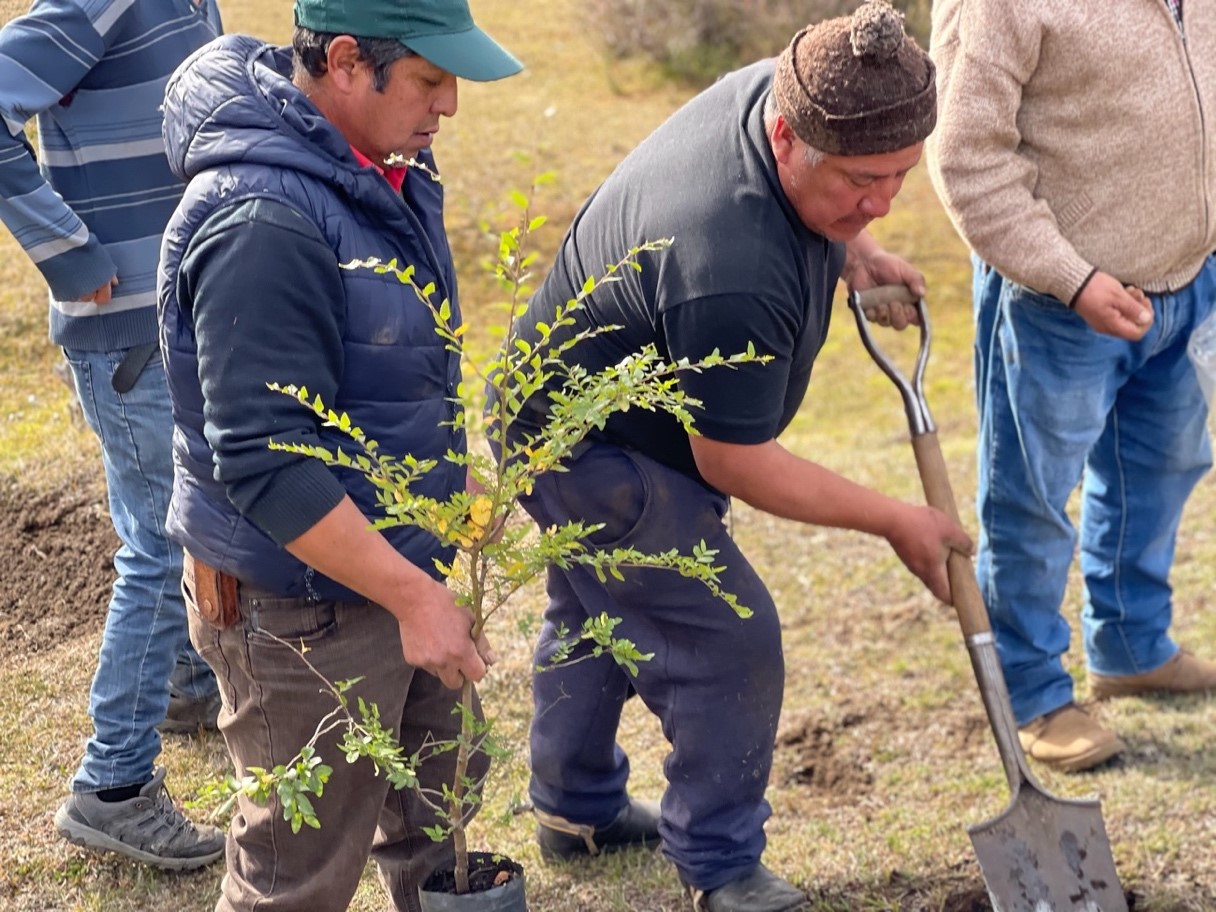 Adaptating and mitigating climate change in Chile – the case of the Mapuche-Pehuenche community