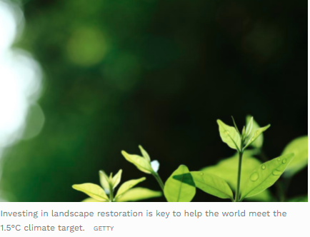 How Monitoring Can Spur Investment In Land Restoration
