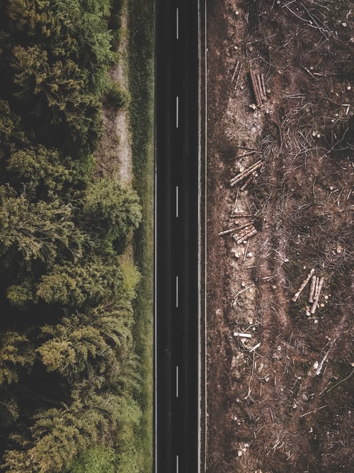 Deforestation (@Unsplash, Justin Menke)