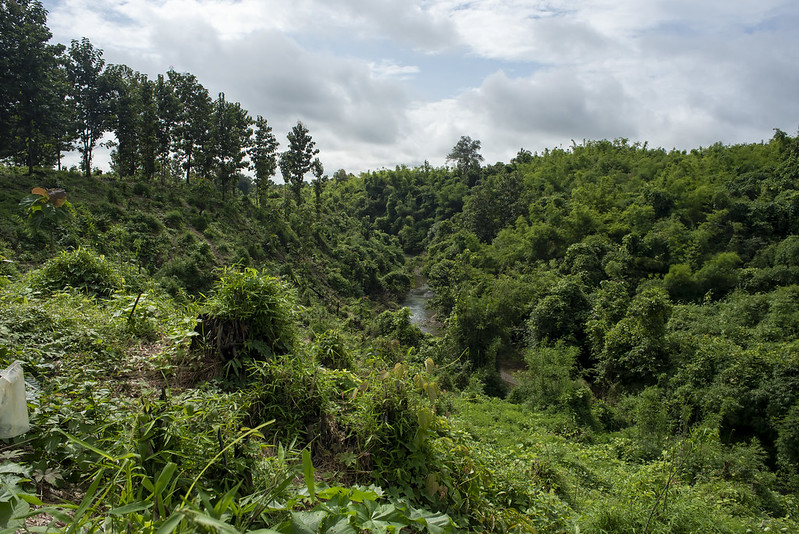 Over the last decade, there has been a dramatic plunge in the export of primary wood products sourced from the natural forests of Myanmar and Lao PDR. Log exports from the region totalled 3.5 million m3 and were valued at close to $2 billion US in 2013, the peak year. Since 2017, log exports have dropped to minimal levels from both countries. These trends indicate both sustainability concerns and opportunities.