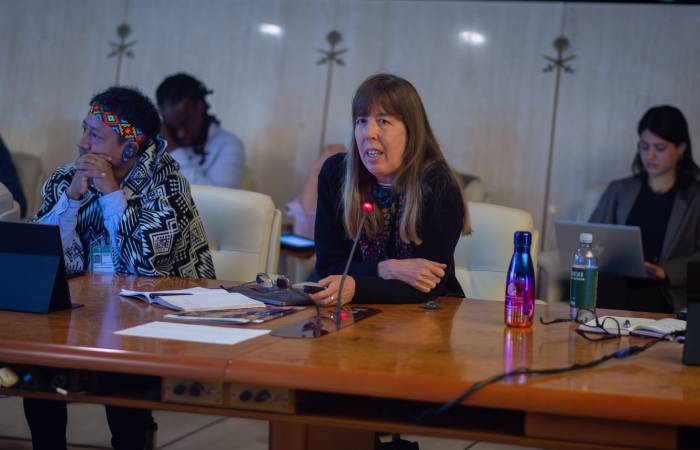 Amanda Bradley, Specialist in tenure, gender and Indigenous Peoples presented the publication at the event "Developing a Roadmap for the Kunming-Montreal Global Biodiversity Framework Target 2" held in FAO headquarters in Rome, November 2023. 