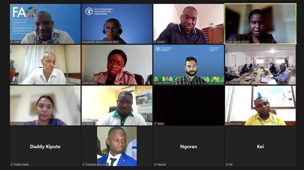 Image of a webinar with different participants showing in the screen