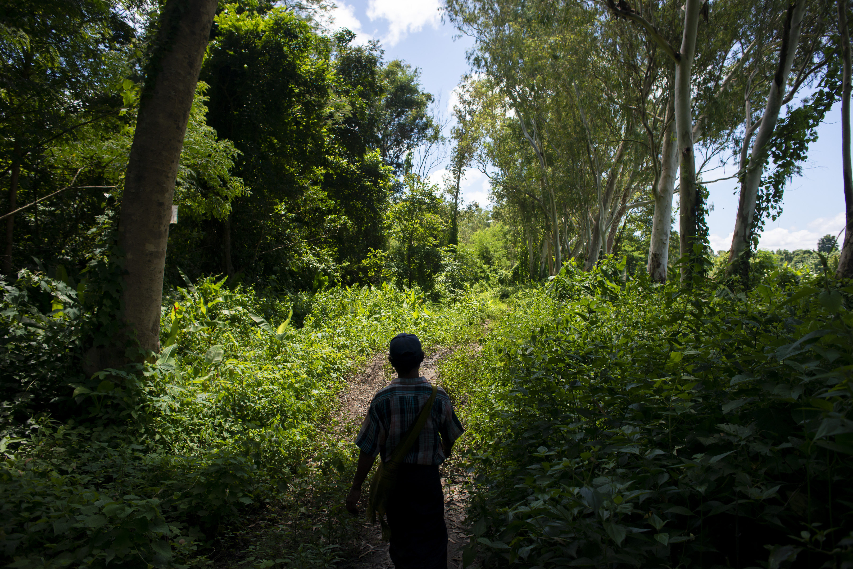 Man walking through the forest