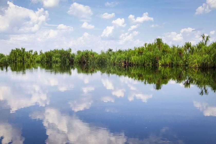 Indonesian peatland
