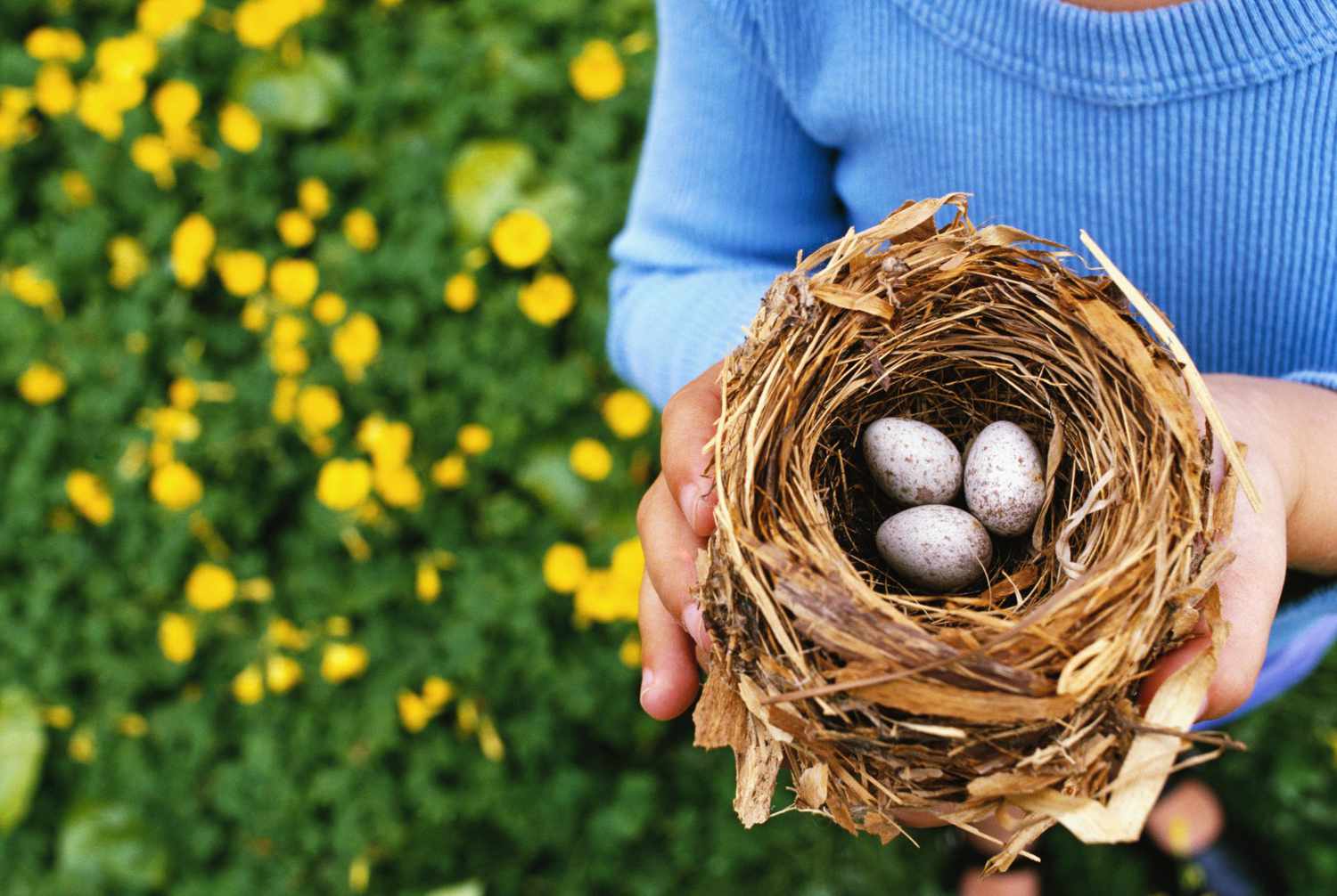 Nesting