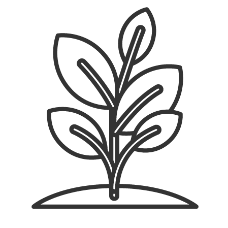 Icons Our Strategy Icon 2