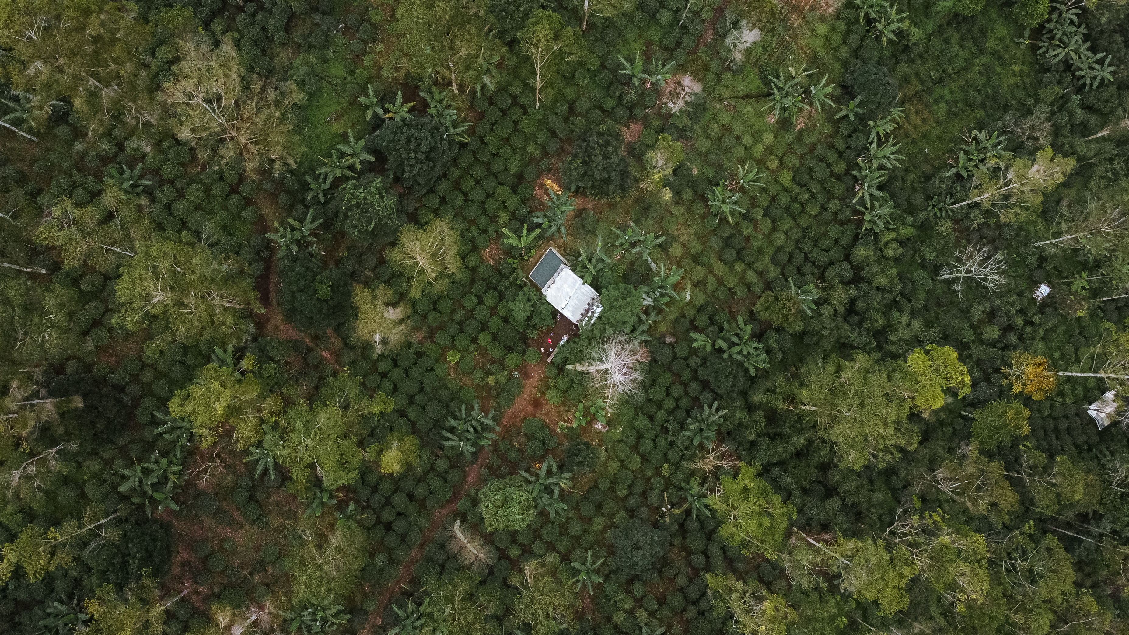 aaaa