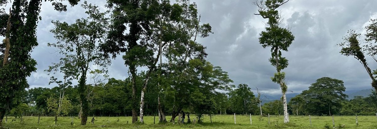 aaaa