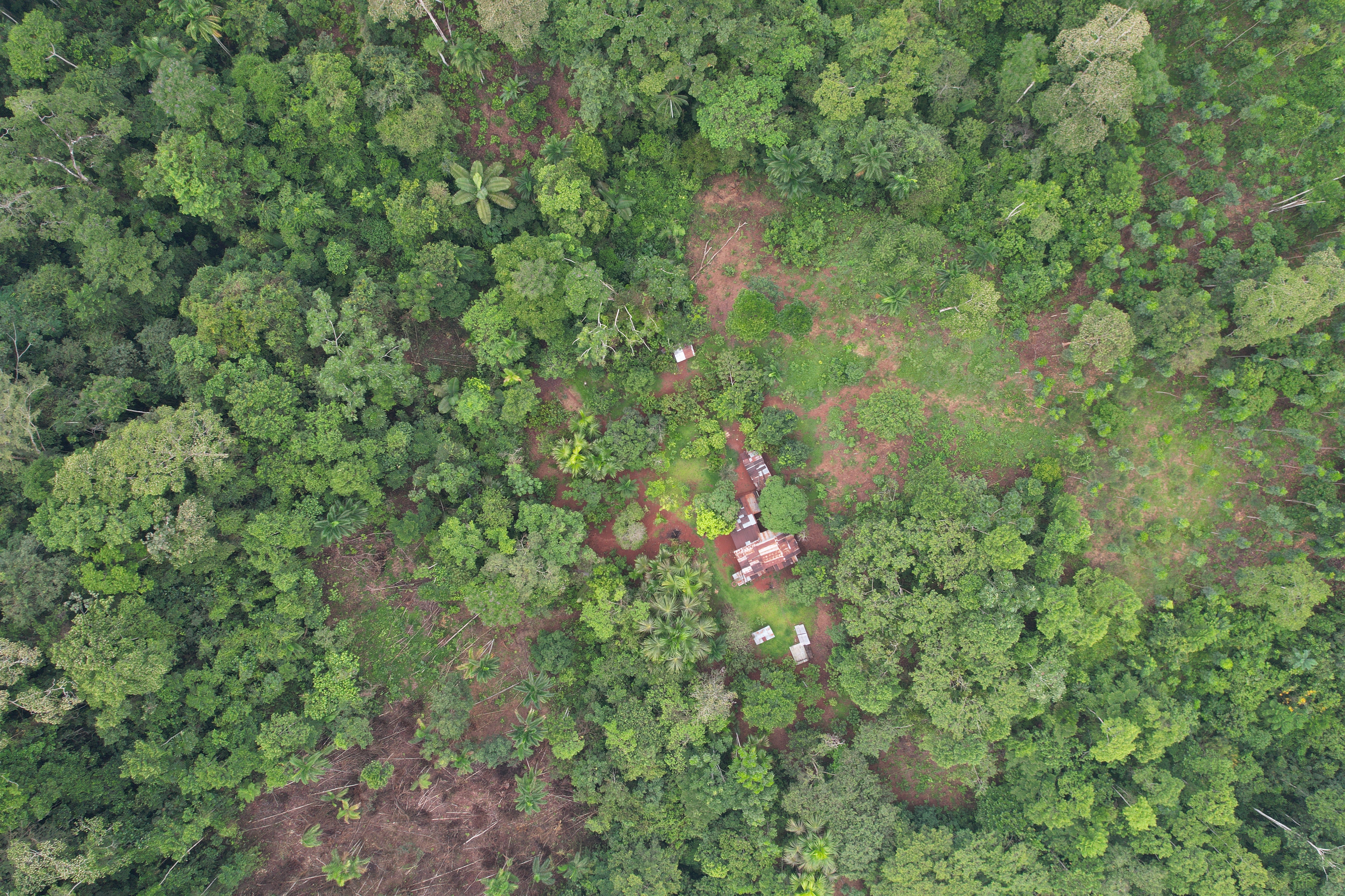 aaaa