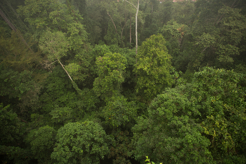 aaaa