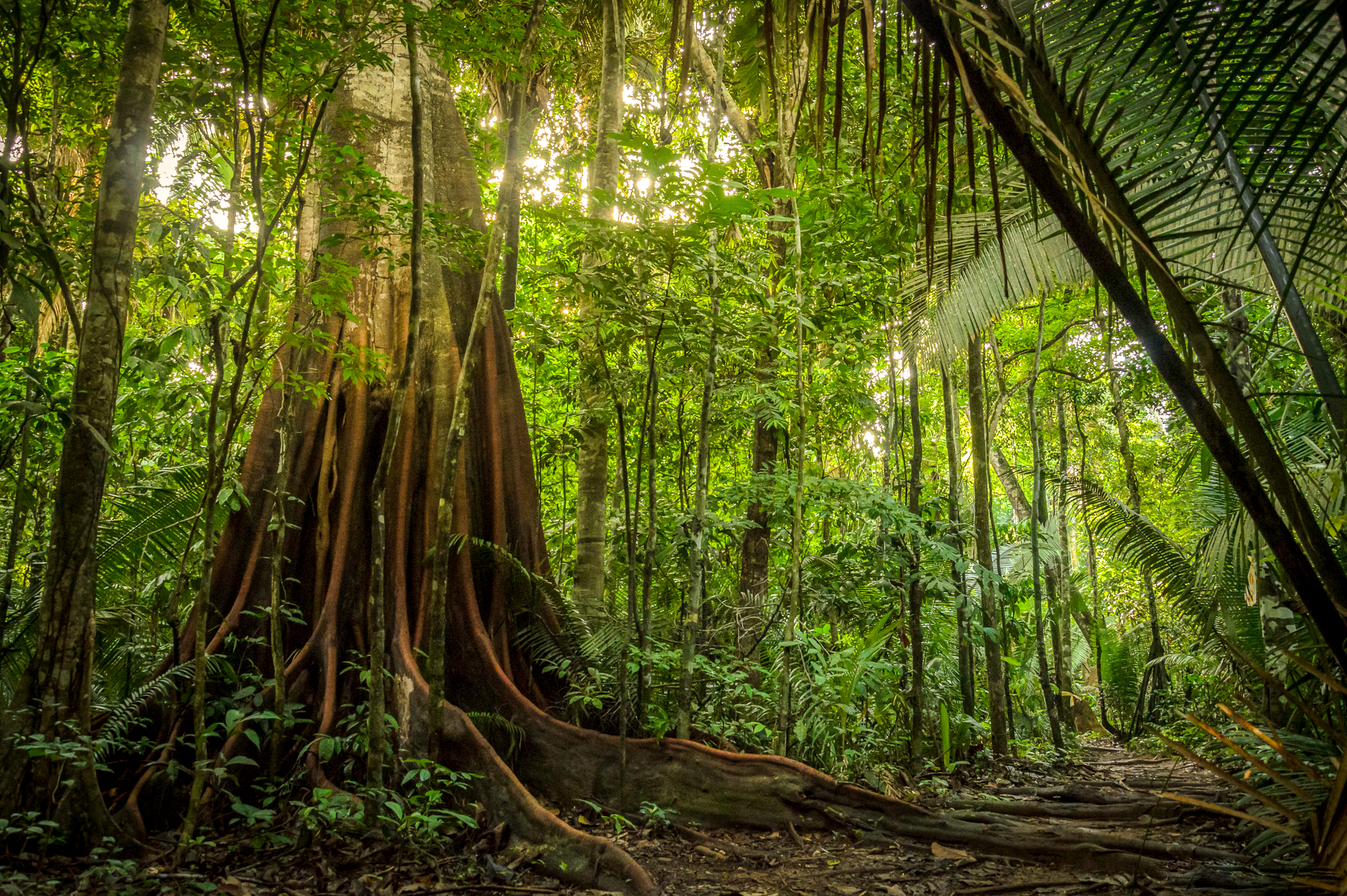 aaaa