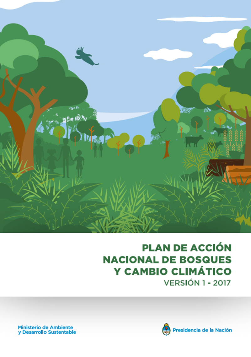 2. Building the Forest Reference Emission Level