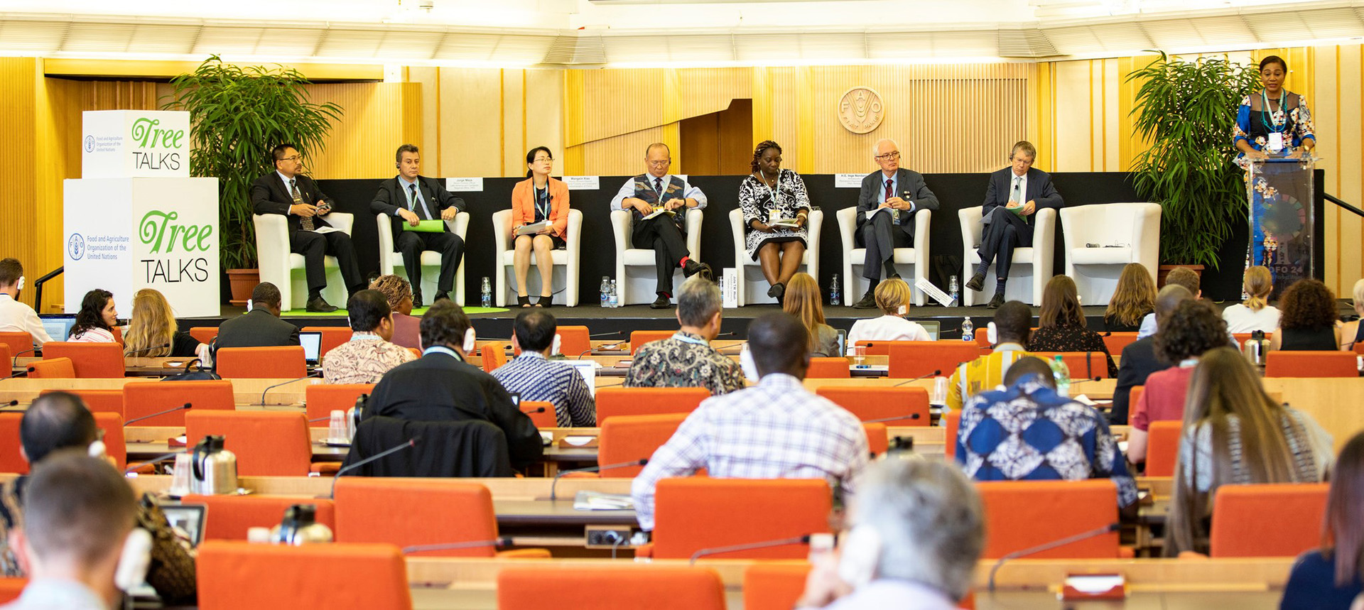 Two initiatives, one common goal How REDD+ and FLEGT synergies put governance at the center of the s