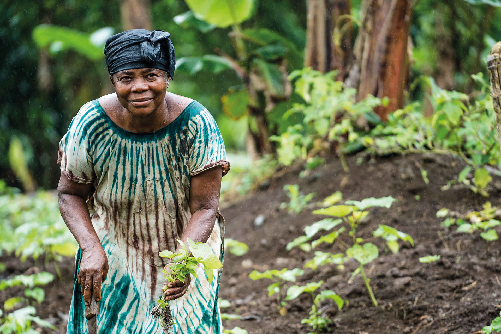 From community consultation to active collaboration in REDD+: Local Communities and IPs at the foref