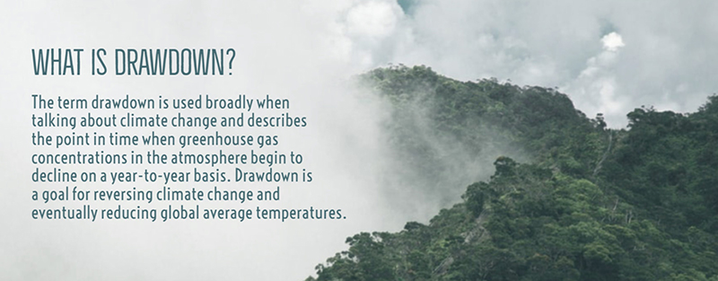 Is Tree Restoration the Most Effective Climate Drawdown Strategy?