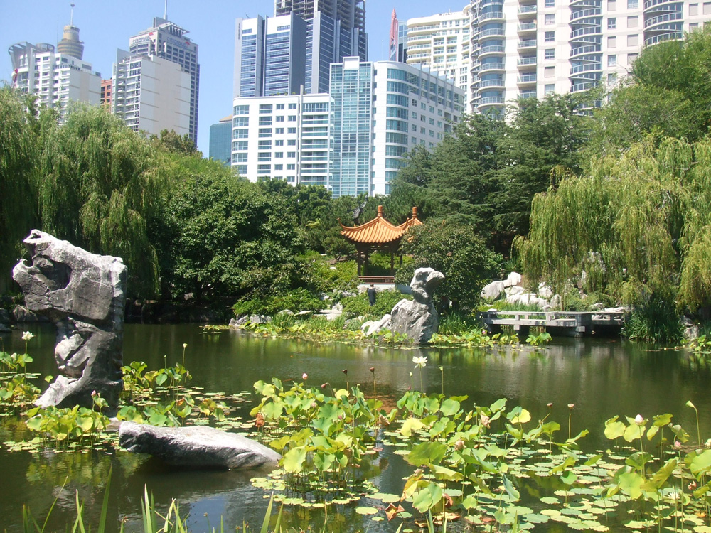 Global partnerships can preserve forests and create sustainable cities