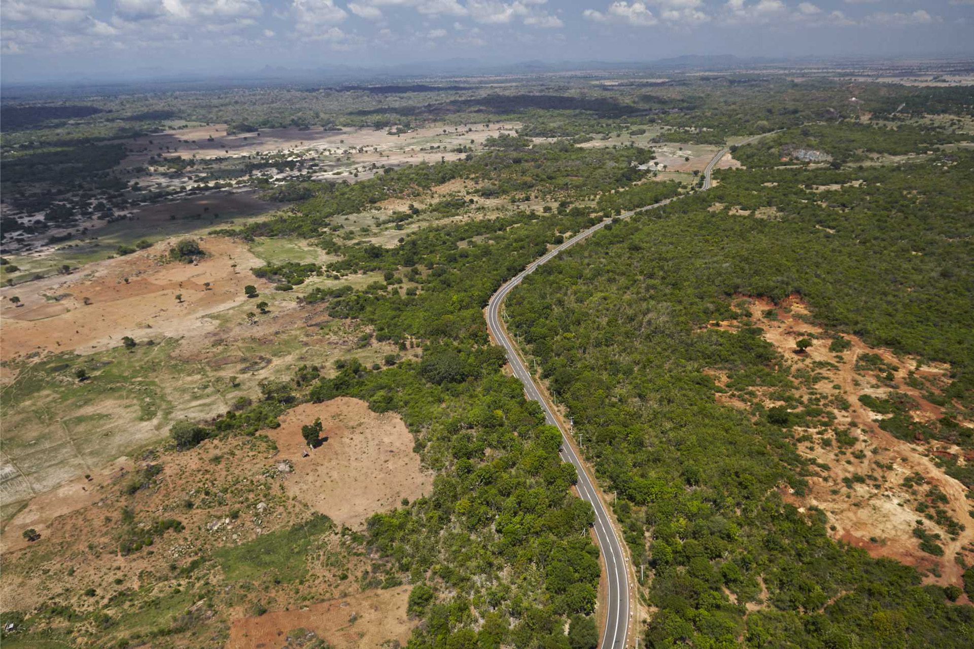 Why we should be more optimistic about forests and climate change...