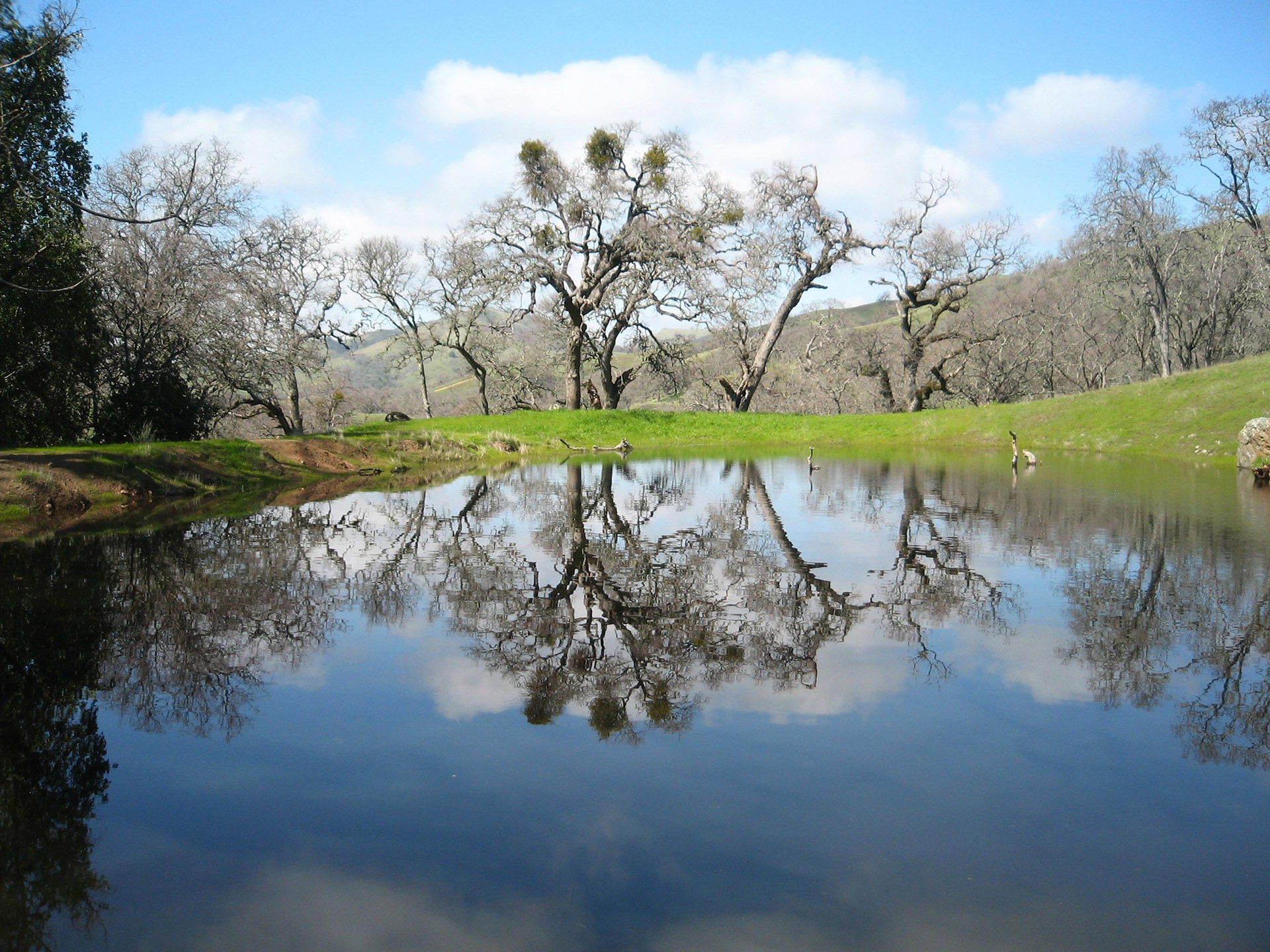 Moving ahead with REDD+ to combat climate change