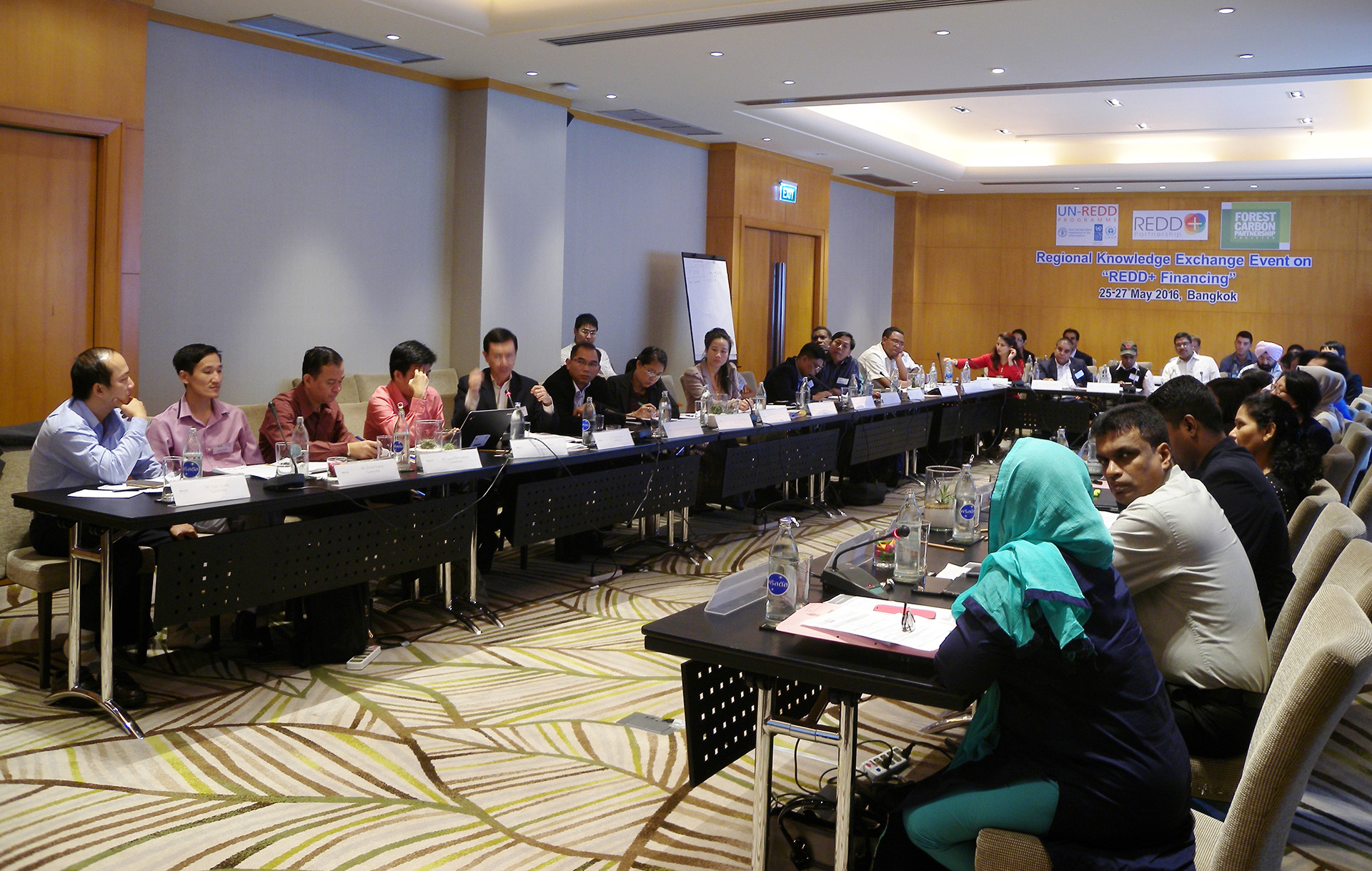 Breaking stereotypes of REDD+ finance, or ‘Where is the money?’