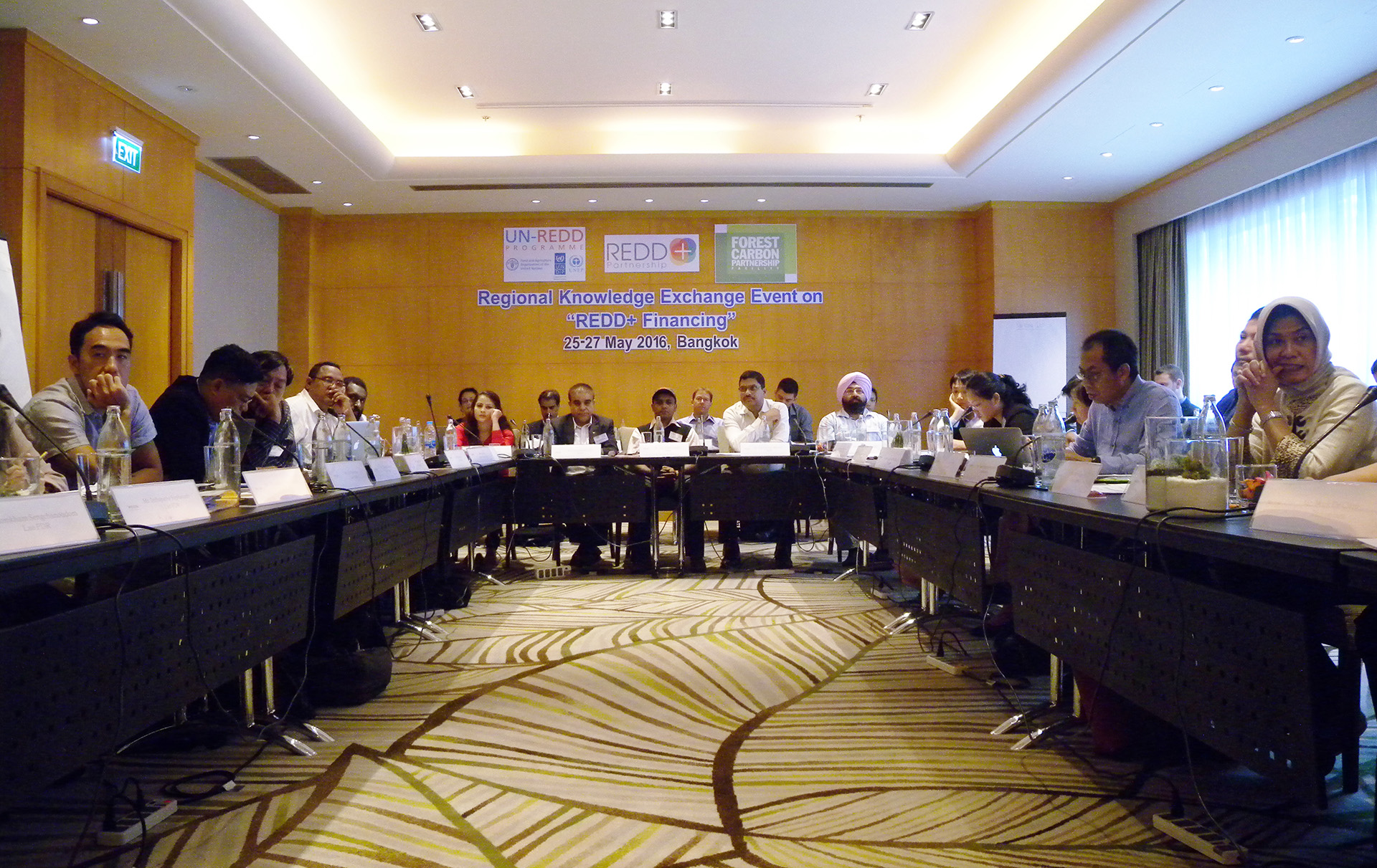 Breaking stereotypes of REDD+ finance, or ‘Where is the money?’