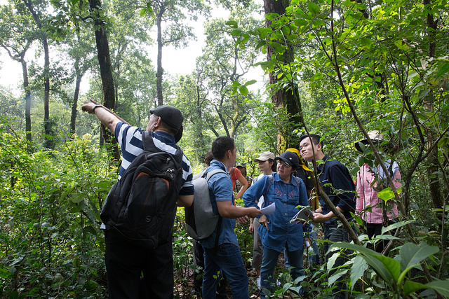 The UN-REDD Programme assembles 50 delegates from 13 countries in Asia and the Pacific to share prac
