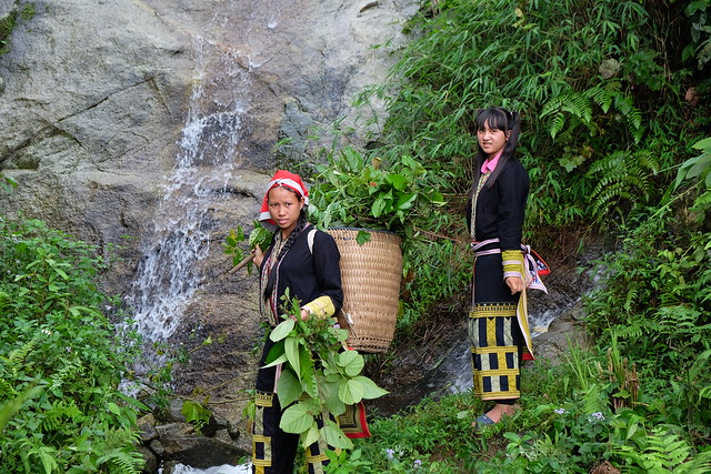 Members of the ethnic Dao minority who are guardians of the natural forests in Tong Sanh Commune, Lao Cai Province, Vietnam. (Leona Liu/UN-REDD Programme)
