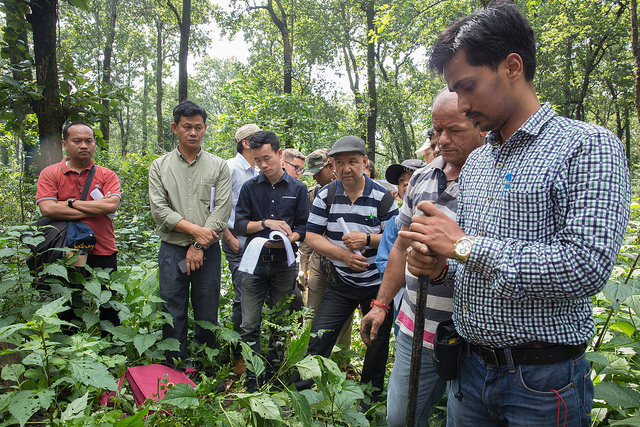 The UN-REDD Programme assembles 50 delegates from 13 countries in Asia and the Pacific to share prac