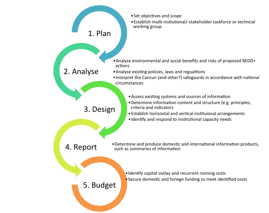 Figure 2: Africa's step-by-step process to develop a REDD+ safeguards information system (based on collective country experiences to date)