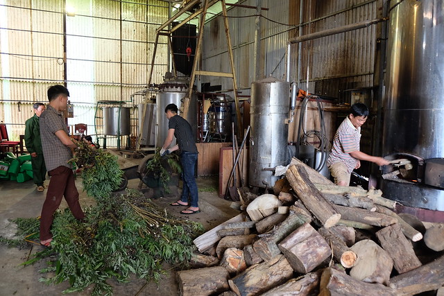 Employees at the Sapa Green factory turning the medicinal plants into bathing and spa products in Lao Cai province. Photo credit: Leona Liu/UN-REDD Programme