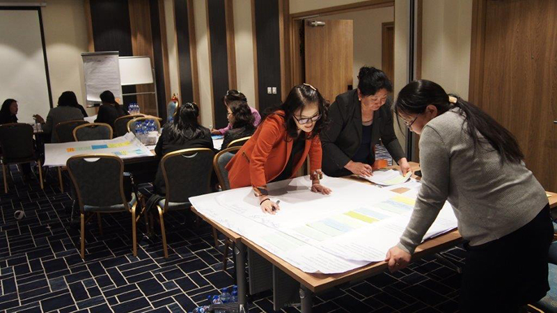 Mongoliaâs National Technical Working Group on Safeguards and Safeguard Information System in action. Credit: UNEP-WCMC
