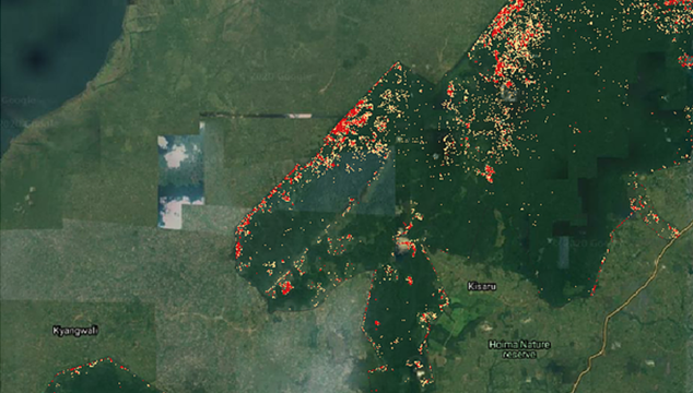 Using SEPAL, land cover change has been detected in Uganda. Here, deforestation in red and forest degradation in yellow are shown eating away at a forest over the period 2018â2019. This type of analysis, which can show change almost from one day to another and with a resolution in metres, can enable a near-real time understanding of change dynamics and drivers, and rapid and targeted response of the people managing forests. (@ FAO)