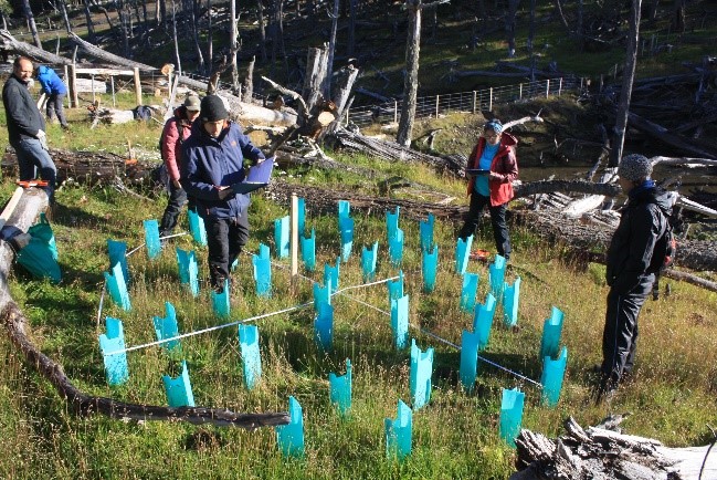 Ecological restoration as a tool for adapting and mitigating the impacts of climate change
