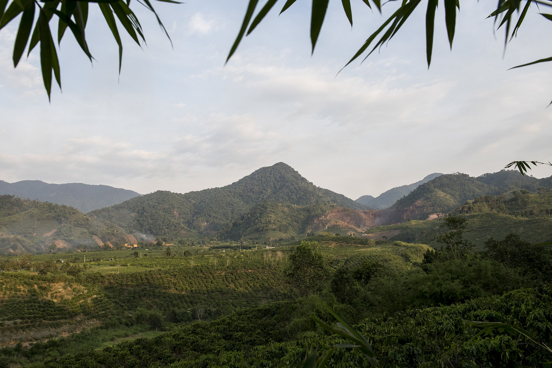 Why does land-use planning need to be part of deforestation-free commitments?