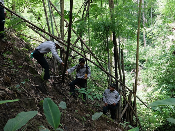 Forest inventory is sometimes physically challenging â here foresters of the Forest Department of Myanmar take measurements on a steep slope having made their way through thick vegetation in a bamboo forest. Having a quick and easy way to input and save your data is very valuable in the field â furnished by Collect Mobile and supported by the other Open Foris tools. (@Marco Piazza FAO)