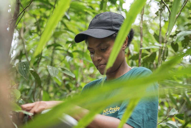Gender at the forefront of National Forest Monitoring Systems