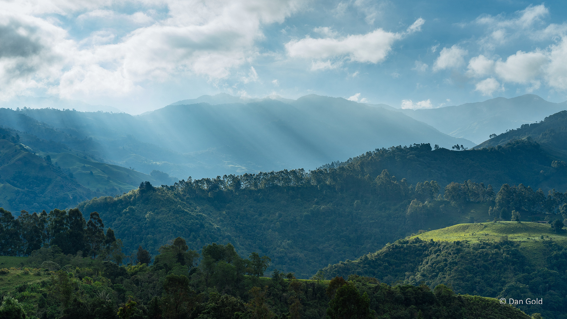 How a Robust National Forest Monitoring System Can Boost Transparency under the Paris Agreement