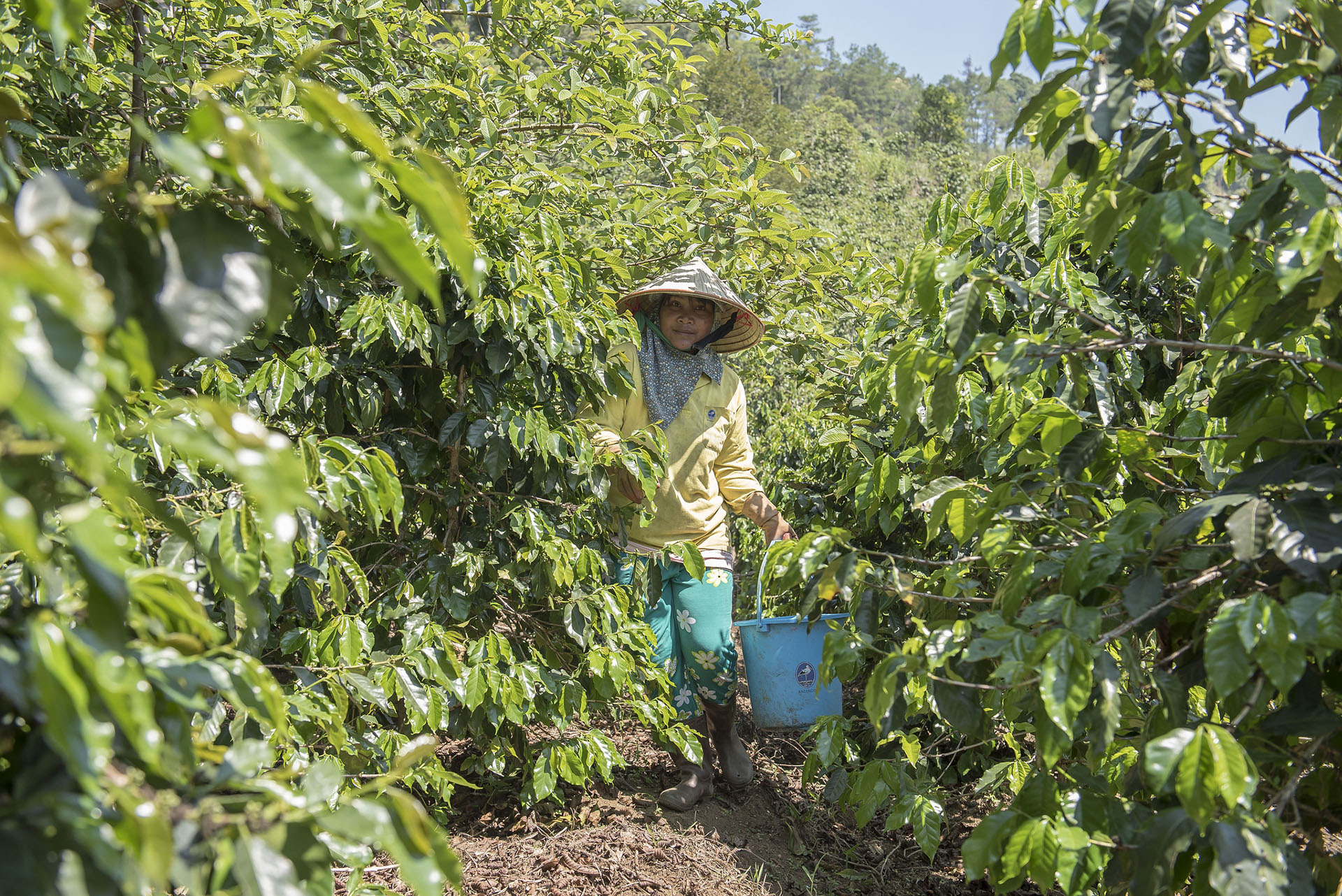 Why does land-use planning need to be part of deforestation-free commitments?