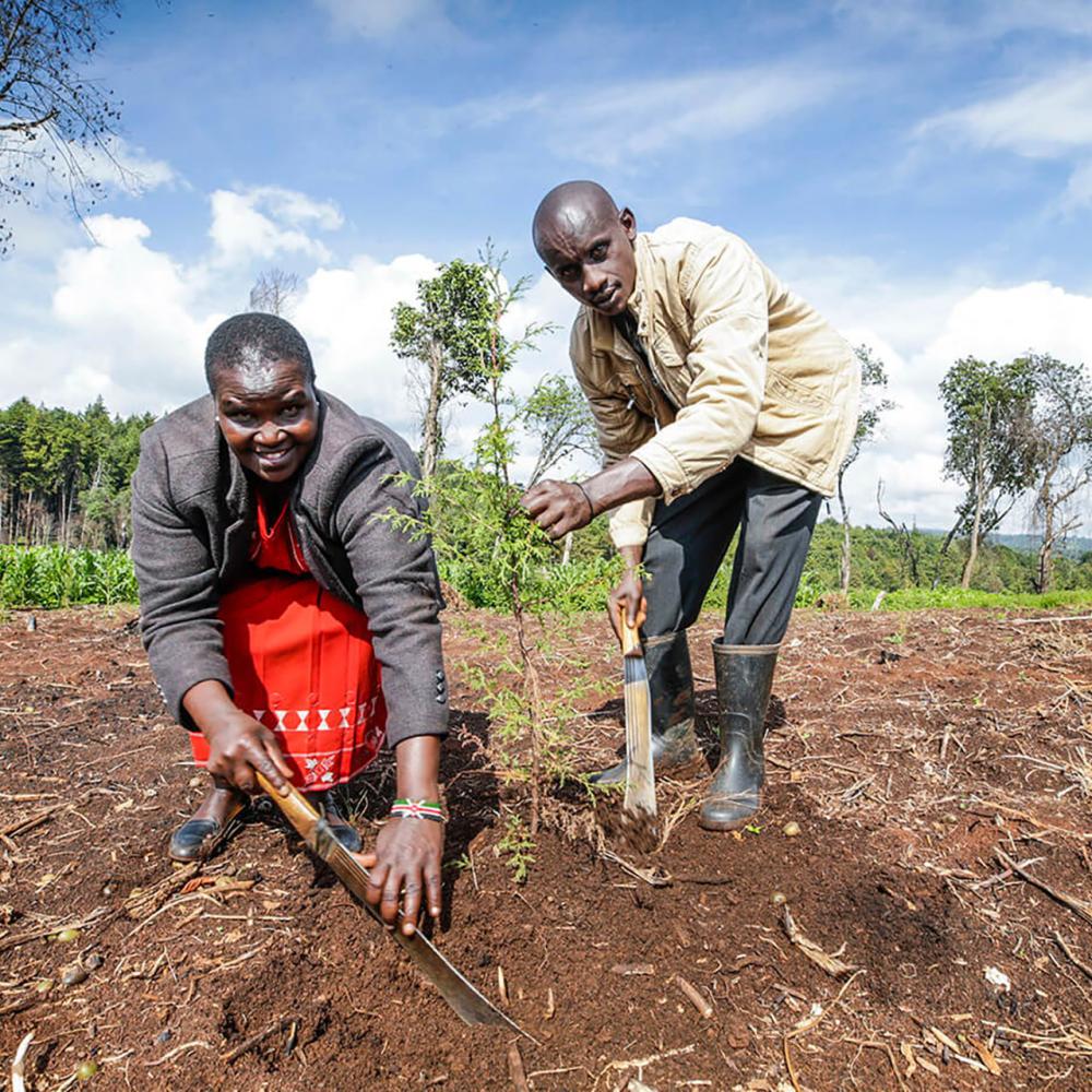  Kenya: Managing Forests through Community Participation
