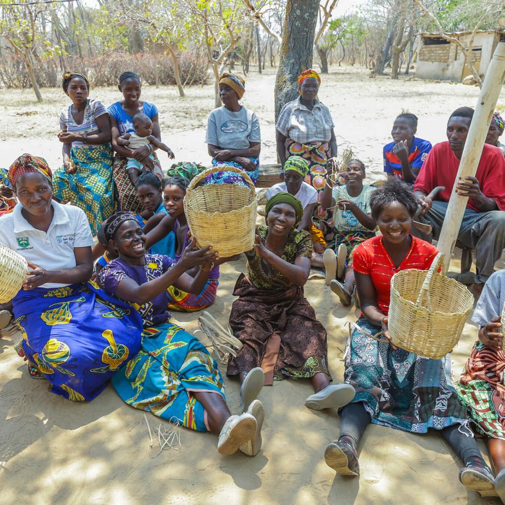  Zambia: How to Survive When Rain and Forests Dwindle