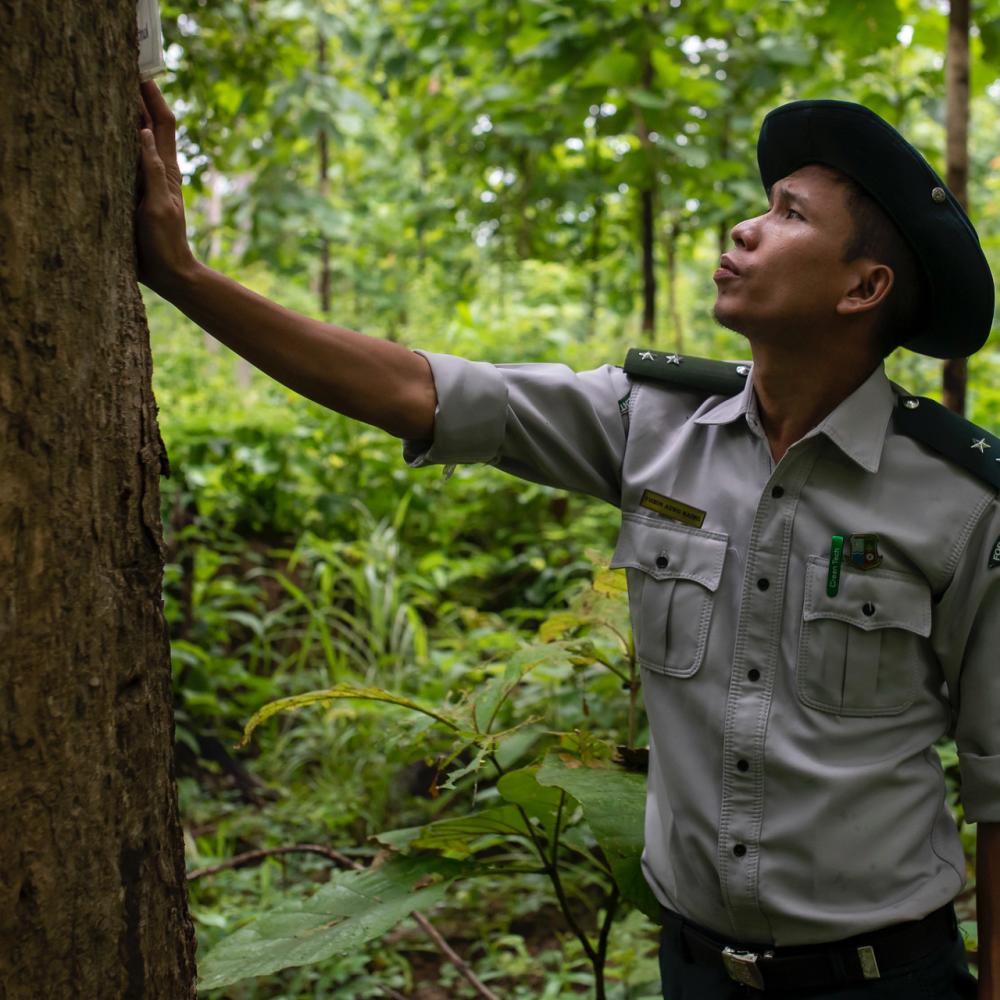 Image placeholder 013