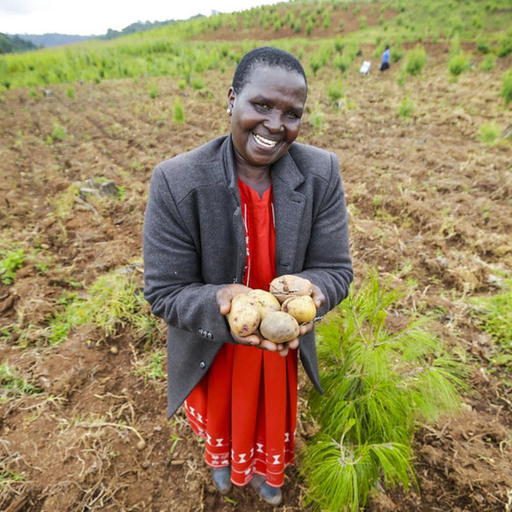 Tecla Shumba proudly showing off her potatoes (UN-REDD Programme)