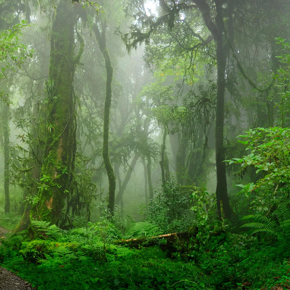 shutterstock_1254588805