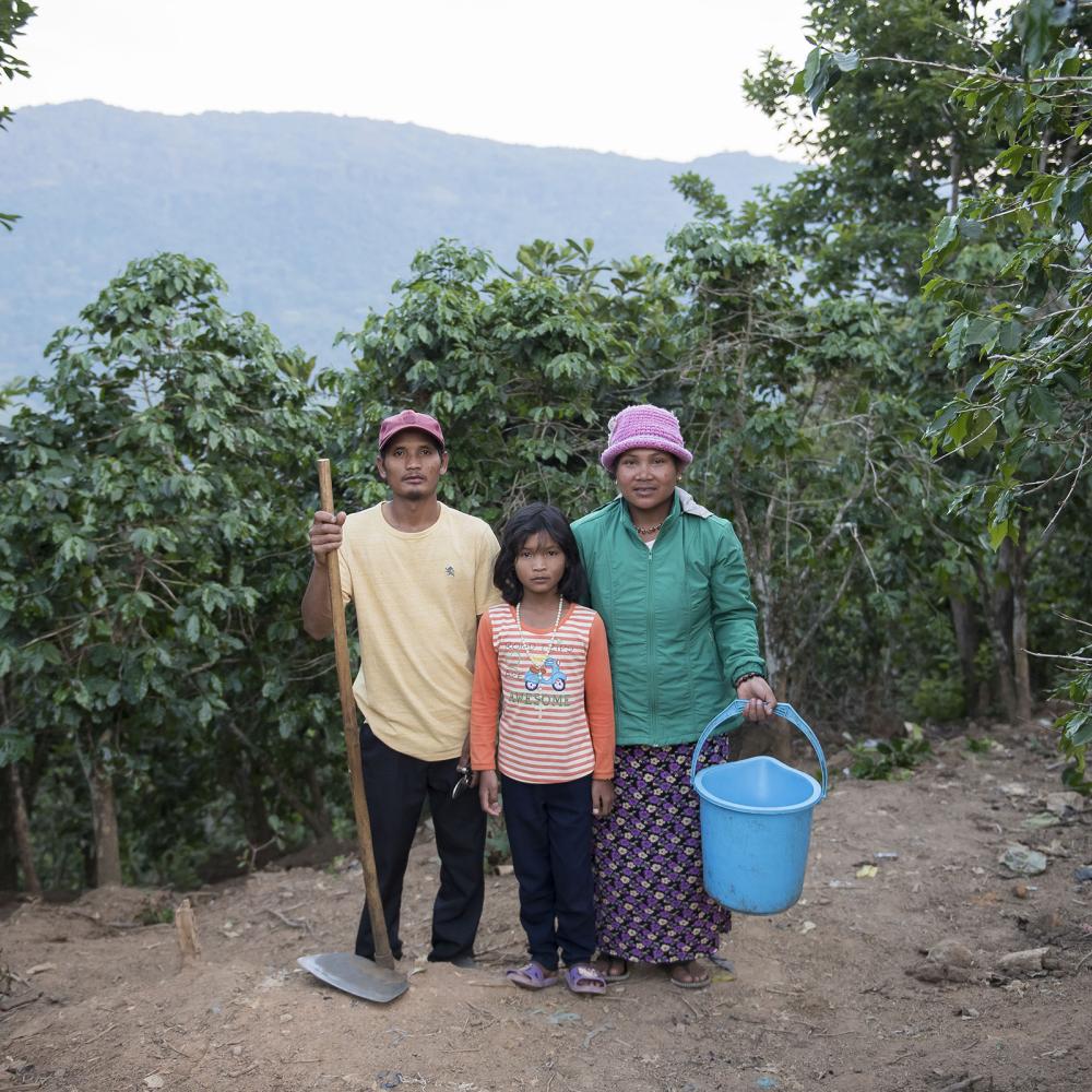 Forest positive agriculture & food systems