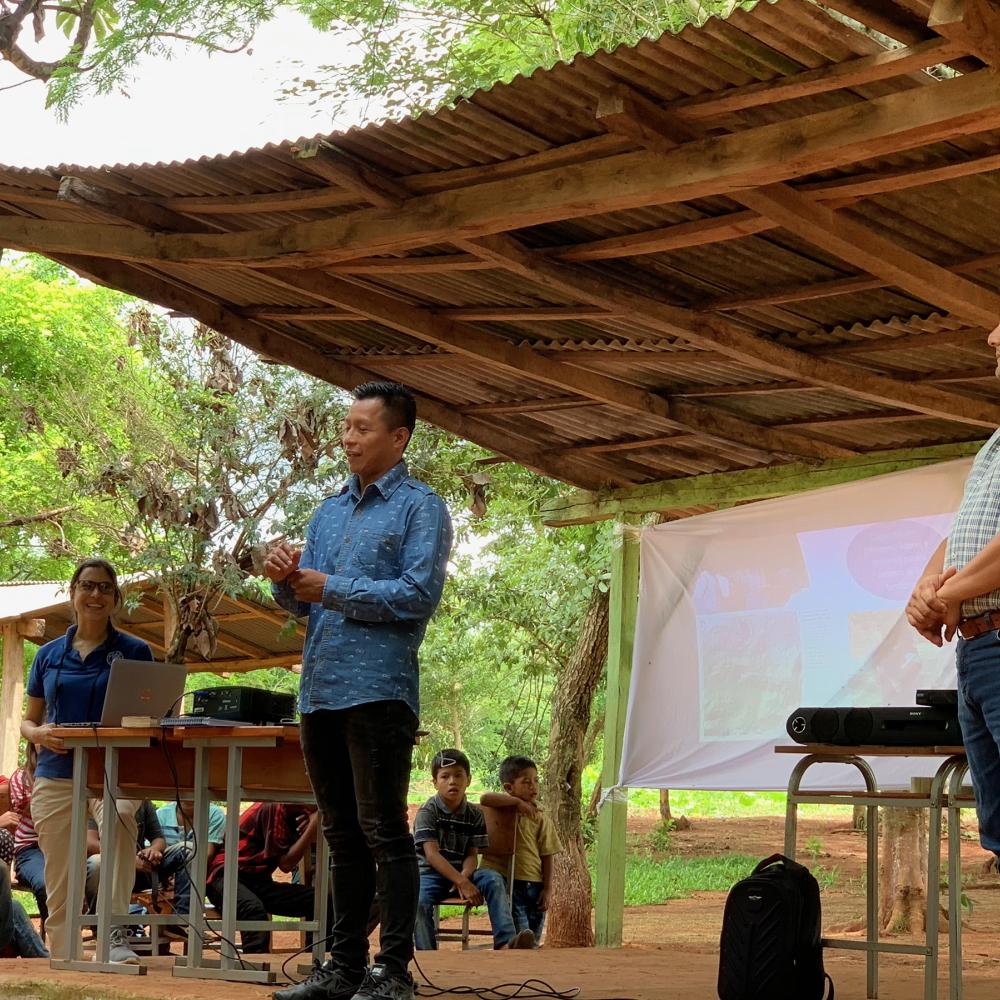 Forest tenure, governance & carbon rights