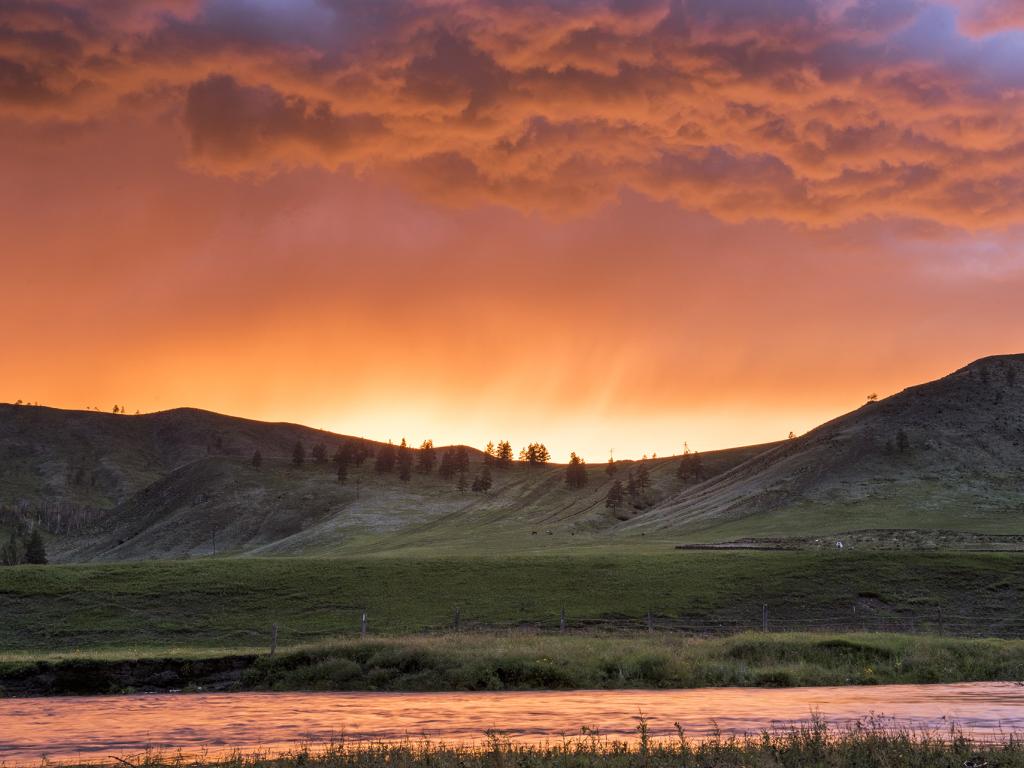 Mongolia, better forests depend on better livelihoods
