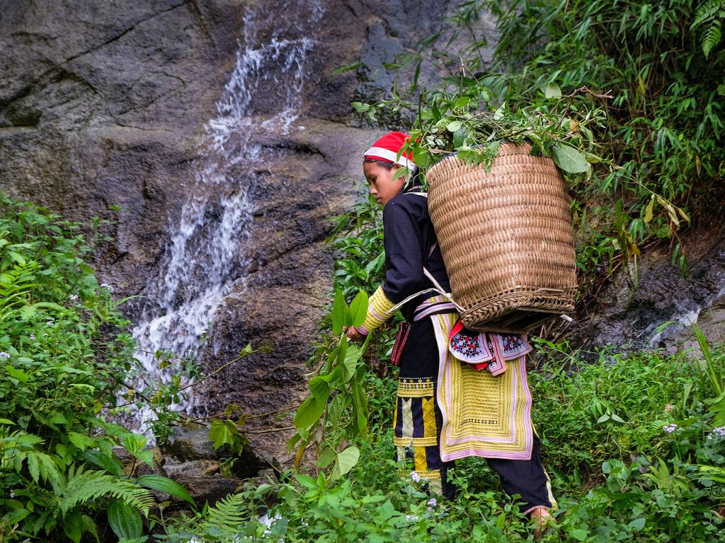 Viet Nam