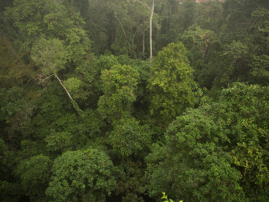 aa