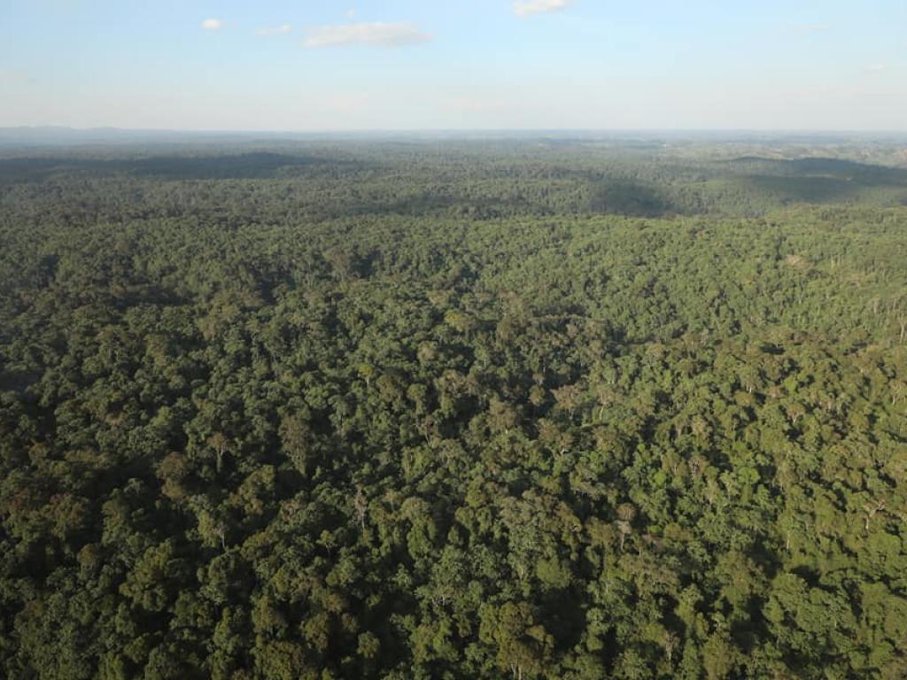 aaa